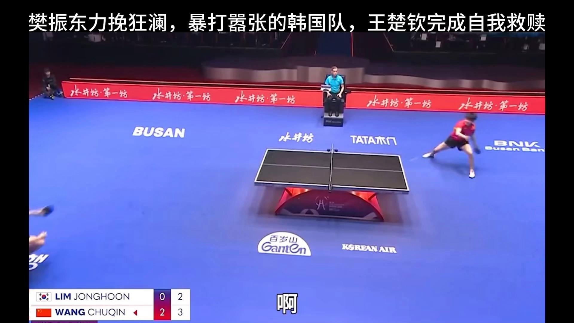 关于英格兰队力克韩国队，樊振东关键制胜的信息