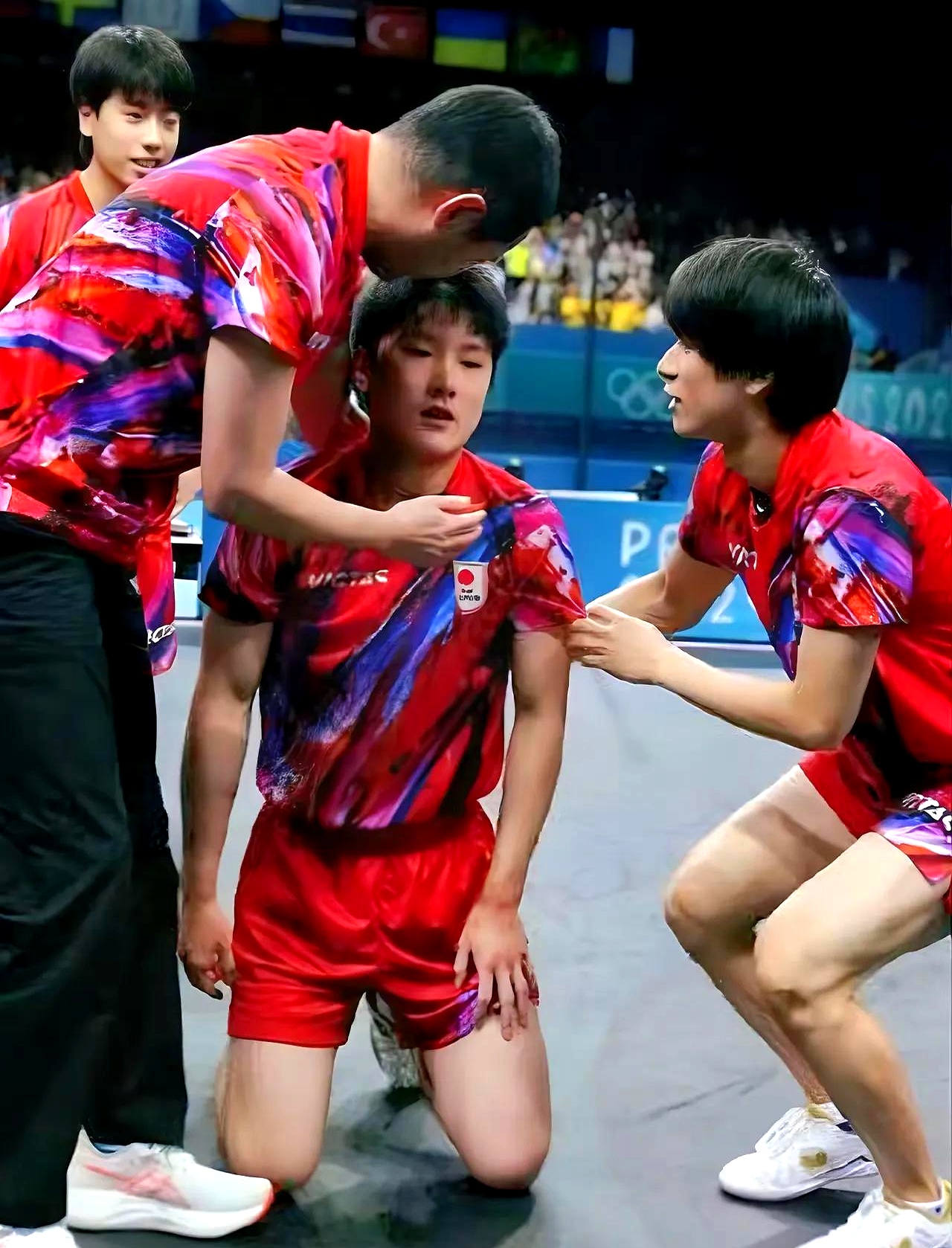 关于奥地利队碾压日本队，张本智和惊艳四座的信息