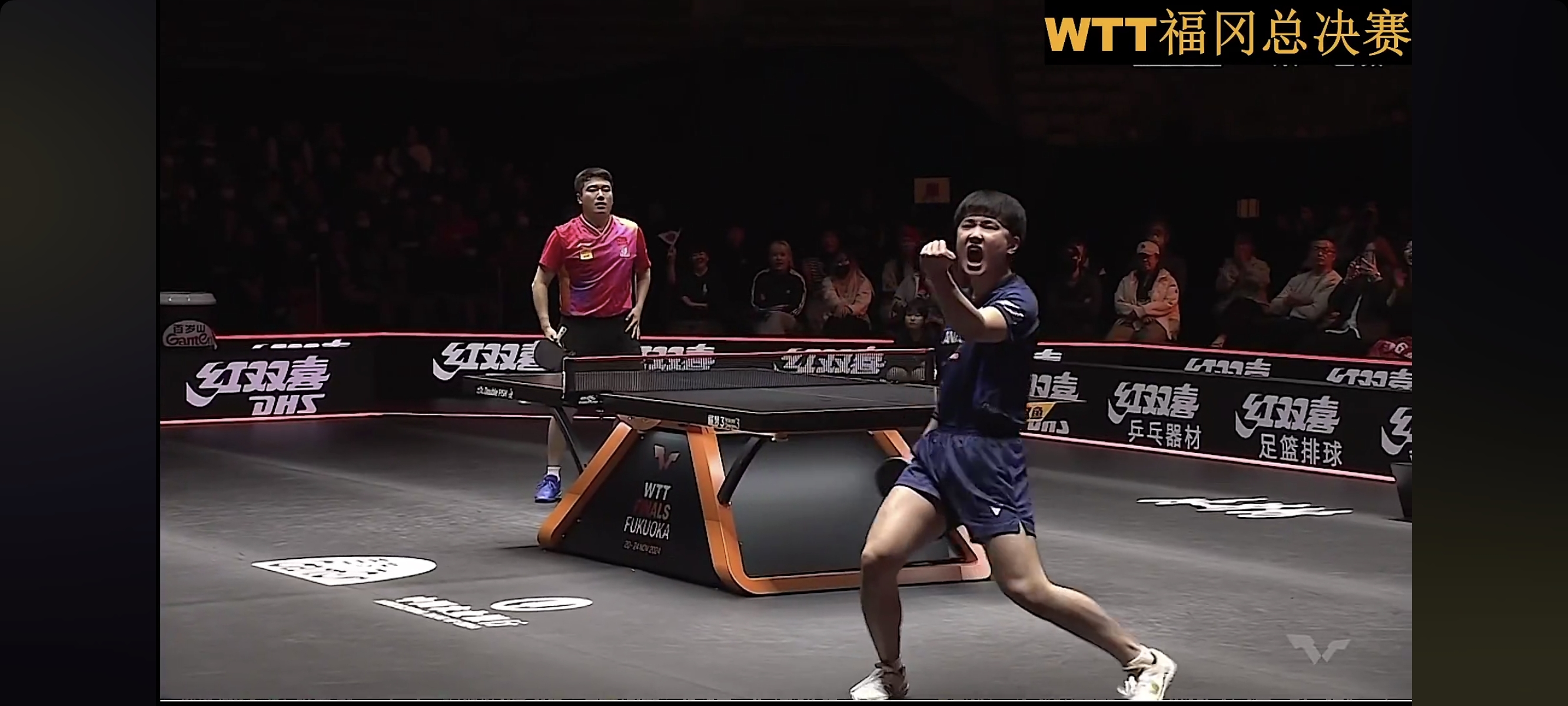 关于奥地利队碾压日本队，张本智和惊艳四座的信息